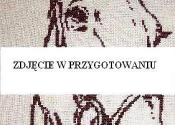 Kon w przygotowaniu